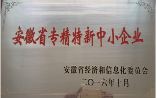 安徽省專精特新中小企業(yè)證書(shū)
